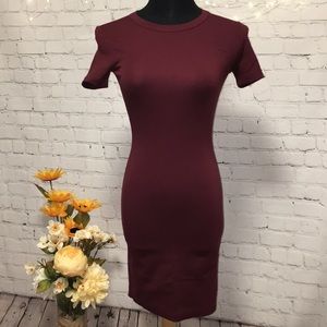 🍨 Aritzia Sunday Best Bodycon Miller Tshirt Dress